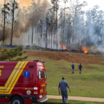 Morto em acidente aéreo com 4 pessoas da família era sócio de usina em MS