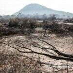 Combate a incêndios no Pantanal se concentra em três regiões