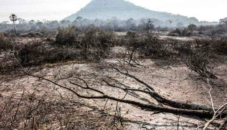 Sem estrutura, fazendeiros buscam ajuda de vizinhos contra incêndios no Pantanal