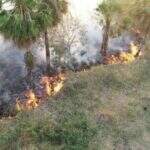 Pantanal: por conta de queimadas, governo decreta emergência em Corumbá e Ladário