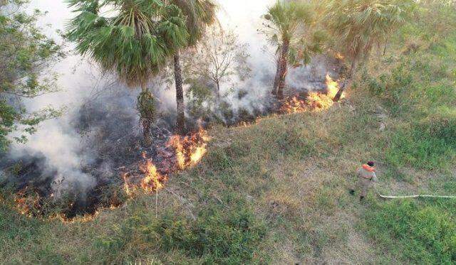 Ministério vai repassar R$ 3,8 milhões para MS combater incêndios florestais