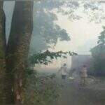 VÍDEO: queimada deixa cortina de fumaça em bairro de Campo Grande