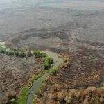 Área que registrou queimadas no Pantanal