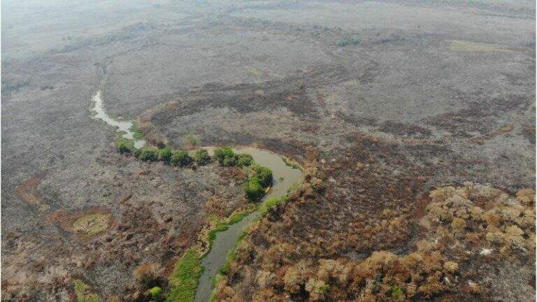 Área que registrou queimadas no Pantanal
