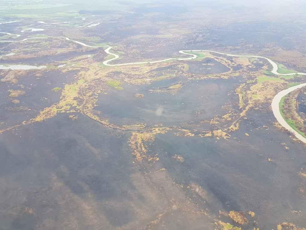 Chuva acaba com queimadas, mas 173 mil hectares de Pantanal foram consumidos