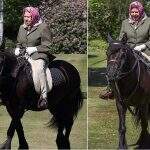 Rainha Elizabeth II cavalga no confinamento.