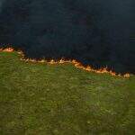 O Pantanal arde em chamas.
