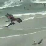 Uma águia carregando um tubarão em uma praia dos EUA