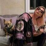 Lady Gaga oferece R$2,7 milhões por seus dois cães que foram roubados durante passeio com dog walker