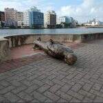 Estátua de Ariano Suassuna é derrubada em ato de vandalismo no Recife