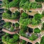 Plantas ‘invadem’ prédios na China e forçam a saída de moradores dos imóveis.