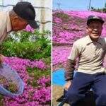 Marido passa 2 anos plantando flores para que esposa cega sinta o cheiro