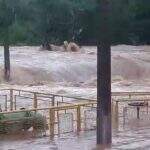 Represa rompe em Goiás, após fortes chuvas que causarem ‘inundação de cinco metros’