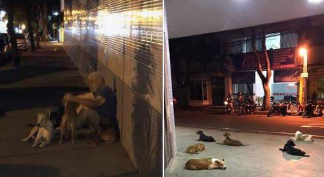 Morador de rua tem AVC e cachorros aguardam ele na porta de hospital