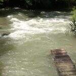 Com santuário e turismo de MS em risco, Simone anuncia R$ 5 milhões para recuperação de rios