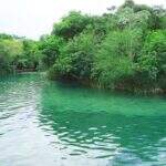 Sanesul deve suspender projeto de captação de água no rio Formoso, alerta MP