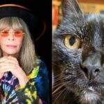 Rita Lee lamenta morte de sua gata: ‘minha guardiã por 25 anos’