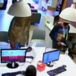 VÍDEO: em 5 minutos, bandidos arrombam loja e levam celulares avaliados em R$ 35 mil