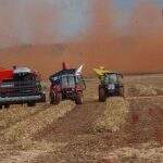 IBGE estima queda de 1% na safra de grãos em 2020