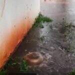 VÍDEO: Com fluxo da chuva, esgoto transborda em terreno de morador