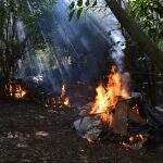 Paraguai queima 15 toneladas de maconha que estavam em laboratório