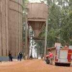 Trabalhador morto soterrado em silo não usou corda de segurança