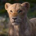 Disney libera mais um teaser do longa “O Rei Leão”