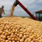 Produção de grãos na safra 2019/20 deve ser 8,8% maior, diz Conab
