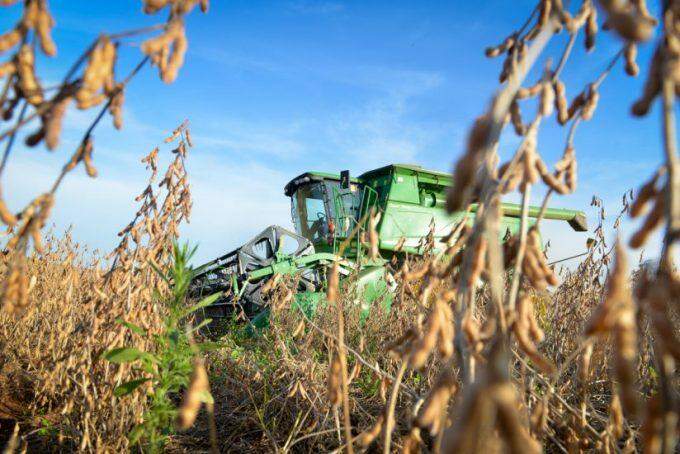 Recorde: produção de grãos deve superar 22 milhões de toneladas em Mato Grosso do Sul