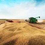 IBGE prevê aumento de 5,2% na safra da soja que deve chegar a 11 milhões de toneladas em MS