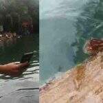 VÍDEO: Sucuri de 3 metros surge em meio a banhistas em balneário de Bonito