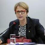 ‘Reações árabes preocupam’, diz Tereza Cristina sobre mudança de embaixada