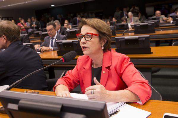 Deputada Tereza Cristina é cotada para vice de Alckmin à Presidência