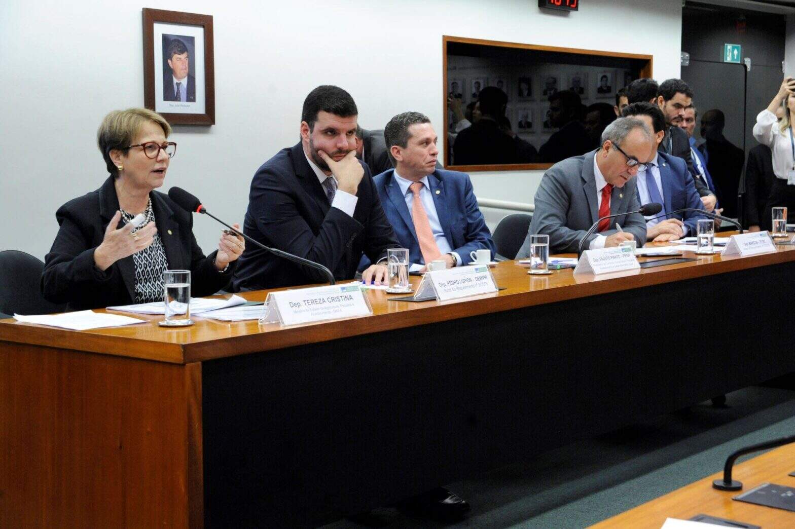 Ministra da Agricultura Tereza Cristina participou de audiência pública na Câmara dos Deputados (Foto: Cleia Viana/Câmara dos Deputados)