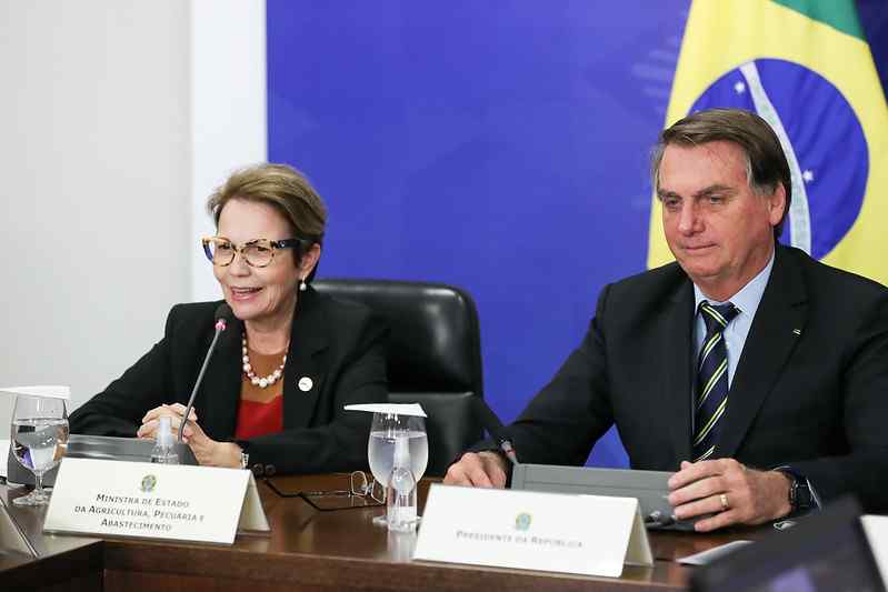 Com respaldo do agro e de Paulo Guedes, Tereza Cristina ganha força para ser vice de Bolsonaro em 2022, diz site