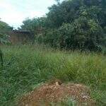 Vizinha encontra corpo de homem em terreno e polícia descobre ‘desova’ na Vila Nasser