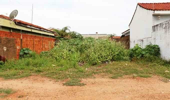 Prefeitura de MS baixa decreto e dará 15 dias para donos limparem 30 mil terrenos baldios