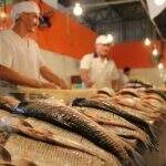 Semana Santa: preço do peixe varia até 181,70% em Campo Grande