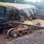 Trem carregado com soja descarrila e nove vagões ficam destruídos em área de difícil acesso em MS