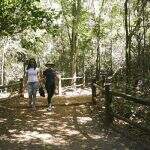 Governo federal regulamenta turismo de trilhas no Brasil