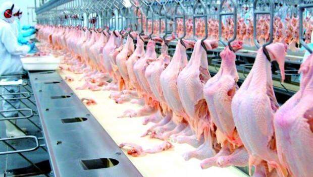 Agricultura pede esclarecimentos às Filipinas sobre suspensão de compra de frango