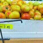 Chuva reflete na agricultura e preço do tomate ultrapassa R$ 7 em MS