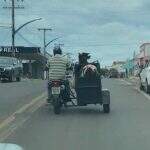 VÍDEO: De ‘carona’ em moto, vaquinha transportada em cidade de MS viraliza