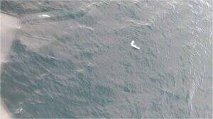Destroços do avião foram encontrados pela Marinha nesta manhã (25)