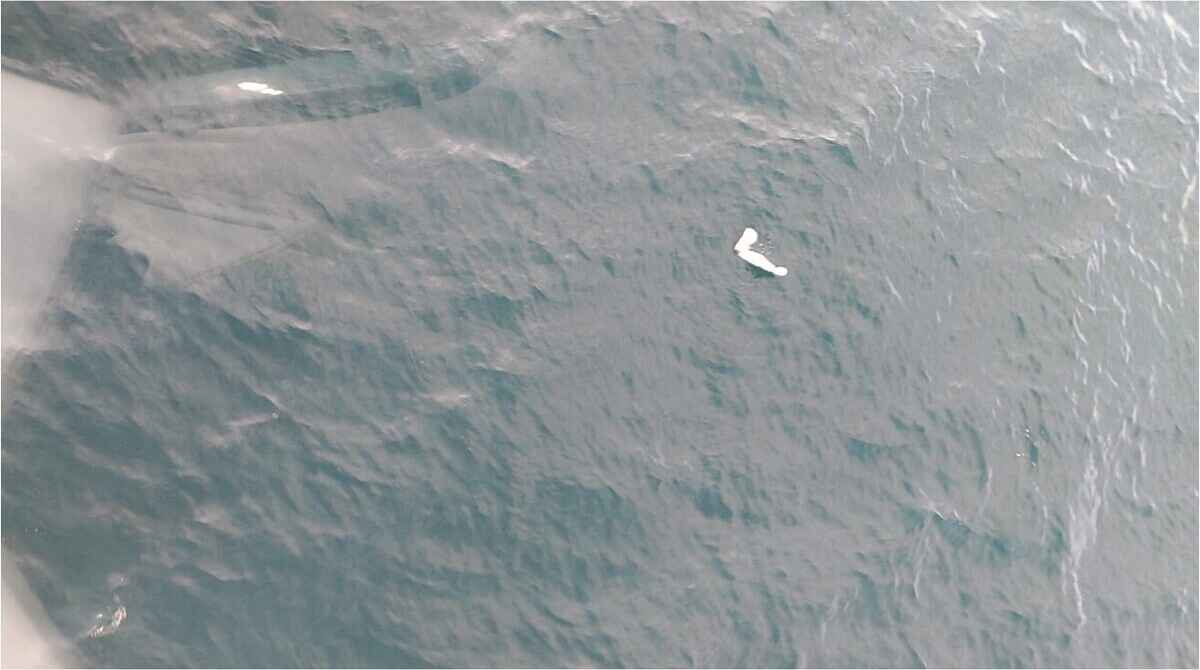 Destroços do avião foram encontrados pela Marinha nesta manhã (25)