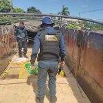 Polícia localiza mais de 700 kg de maconha que seria levada para São Paulo