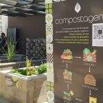 Sesc promove oficina de horta, jardinagem gastronômicas e temperos em Campo Grande