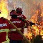 02 de Julho – “Dia do Bombeiro Brasileiro”. Parabéns a esses profissionais que salvam tantas vidas, sempre os admirei!