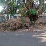Após poda, Energisa deixa restos de árvore há mais de uma semana no bairro Jardim Panamá