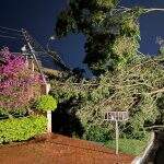 Temporal com ventos de 60 km/h e mais de quatro mil raios causou estragos em Campo Grande